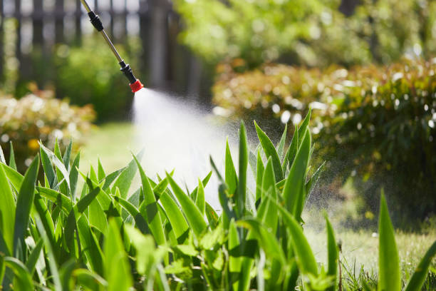 Tamper-Resistant Bait Stations for Rodents in New Martinsville