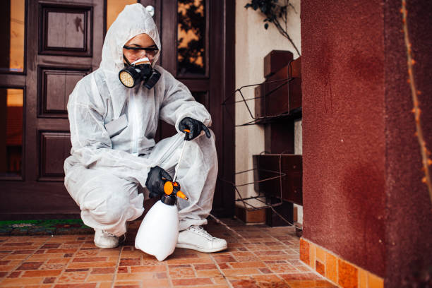 Attic and Crawl Space Rodent Treatment in New Martinsville