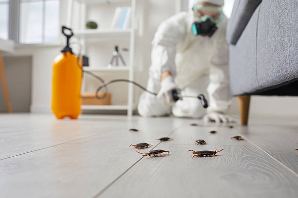 Commercial Rodent Management in New Martinsville